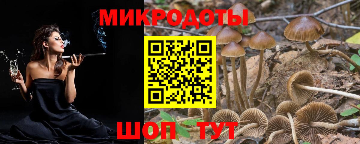 Галлюциногенные грибы прущие грибы Тайшет